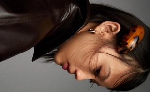 Набор из 2 заколок- Заказать в России