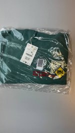 Zara ТОЛСТОВКА С НАШИВКАМИ SKATE Sea green | 5431/697/982