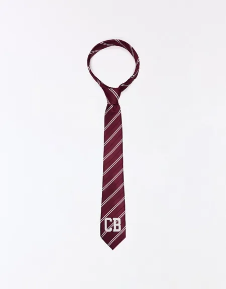 Галстук в полоску коллекции carol biazin- Заказать в России