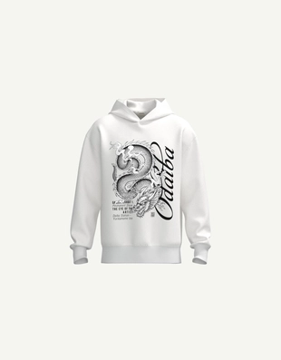 Свитшот DIGITAL FILTER DRAGON BOXY- Заказать в России