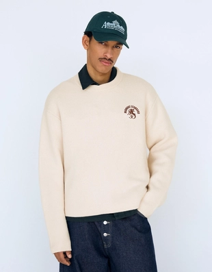 Жаккардовый свитер с принтом- Заказать в России