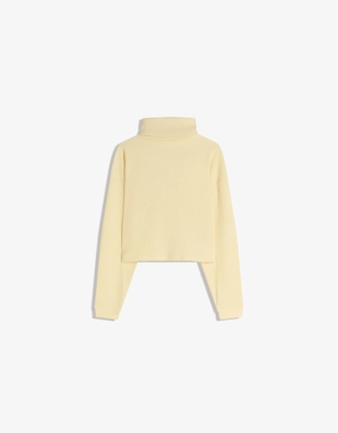 Свитер в рубчик с высоким воротником- Заказать в России