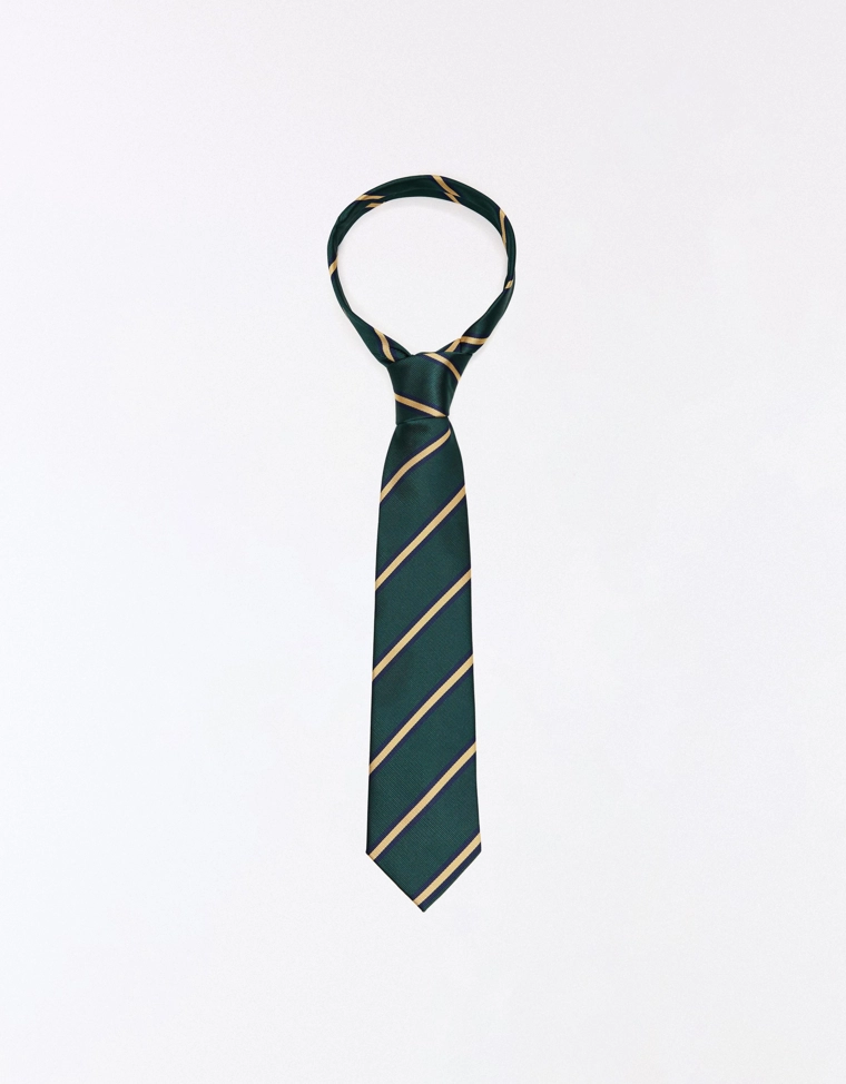 Полосатый галстук