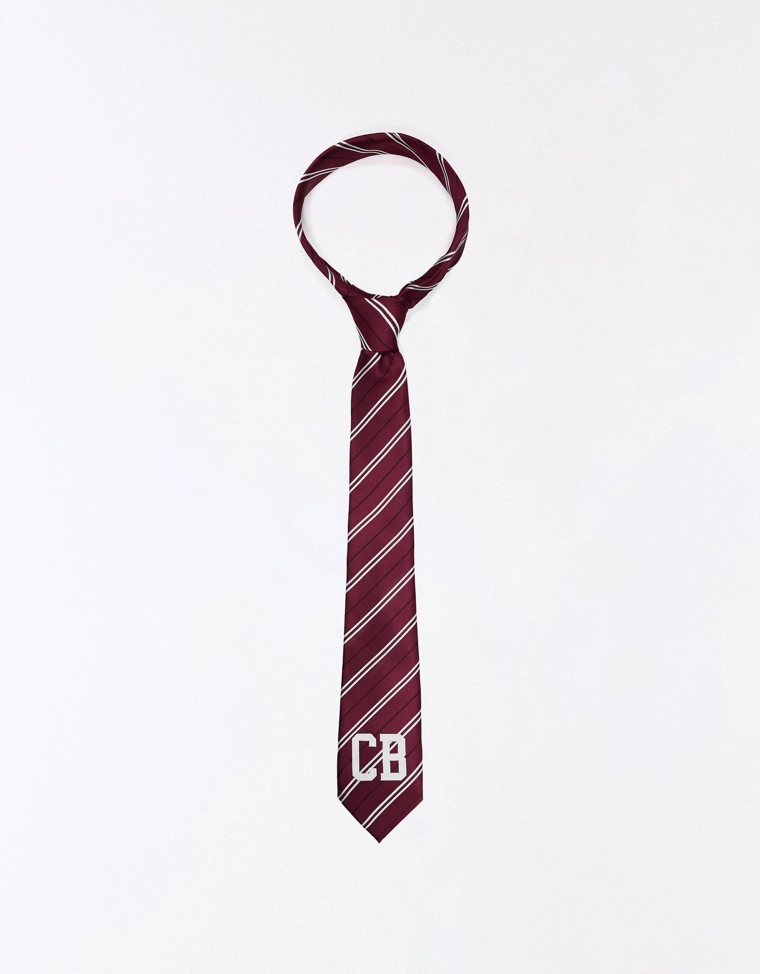 Галстук в полоску коллекции carol biazin