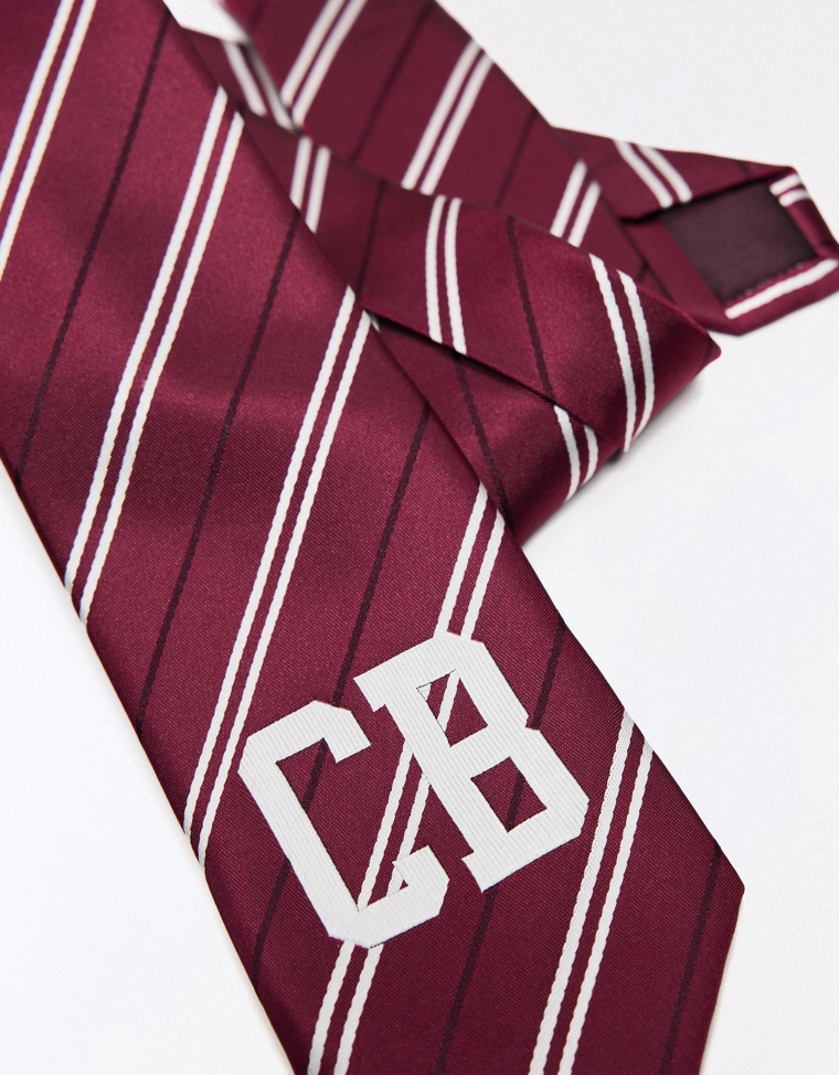 Галстук в полоску коллекции carol biazin