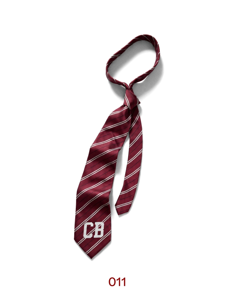 Галстук в полоску коллекции carol biazin