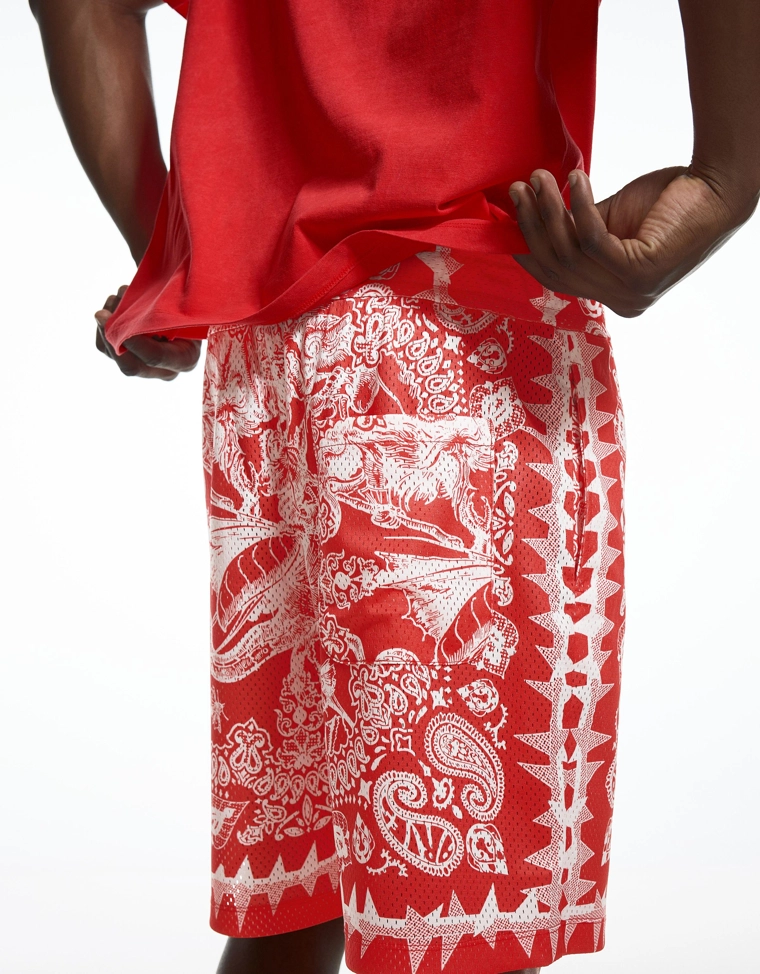 Шорты свободного кроя ARIES X BERSHKA