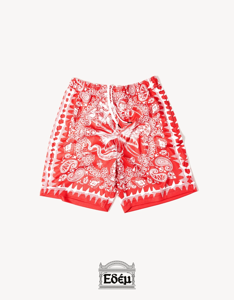 Шорты свободного кроя ARIES X BERSHKA