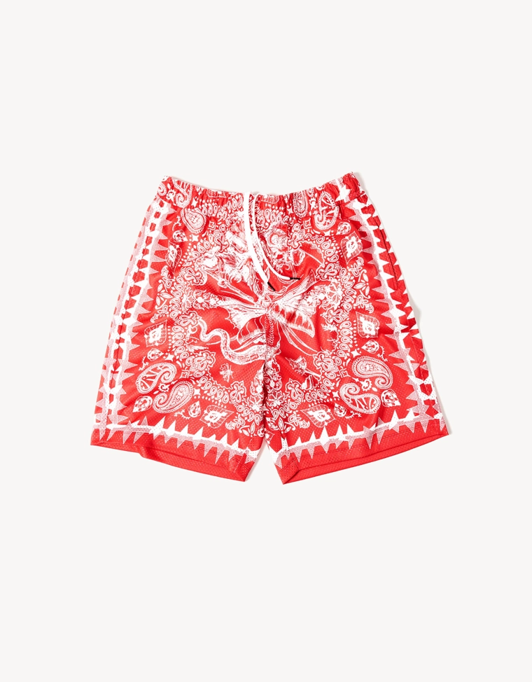 Шорты свободного кроя ARIES X BERSHKA