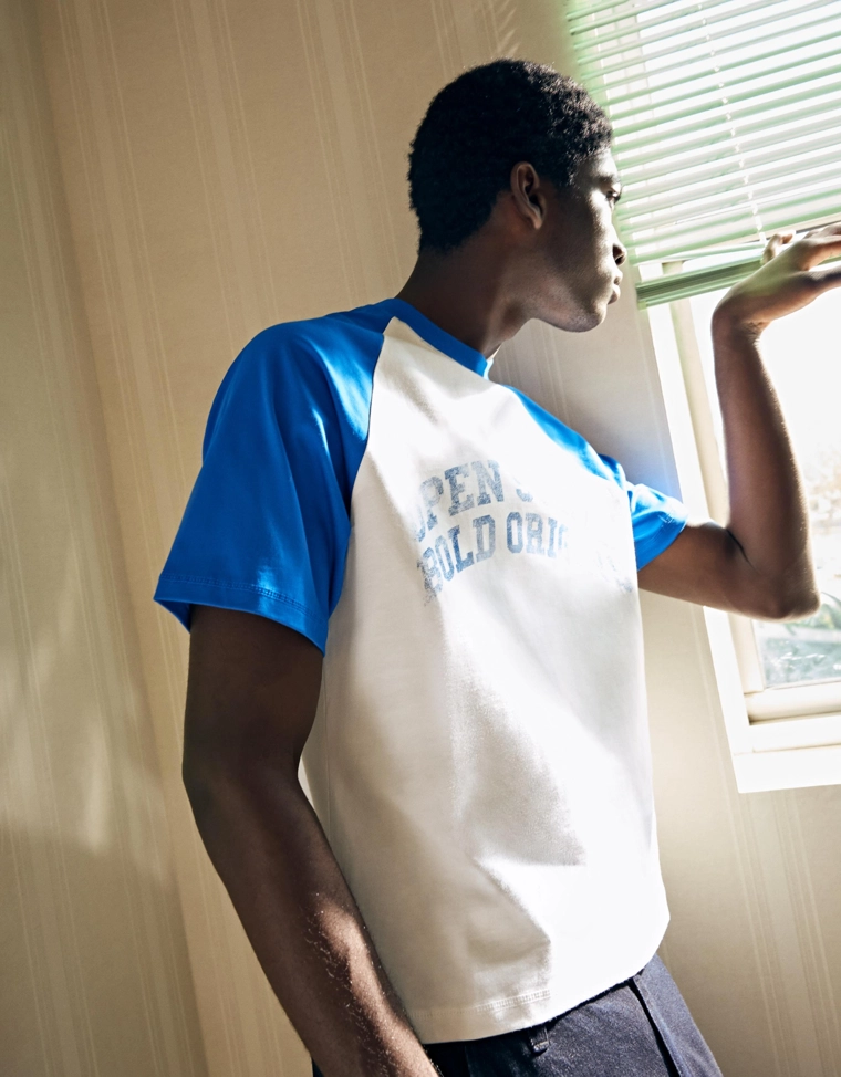 Футболка реглан с принтом