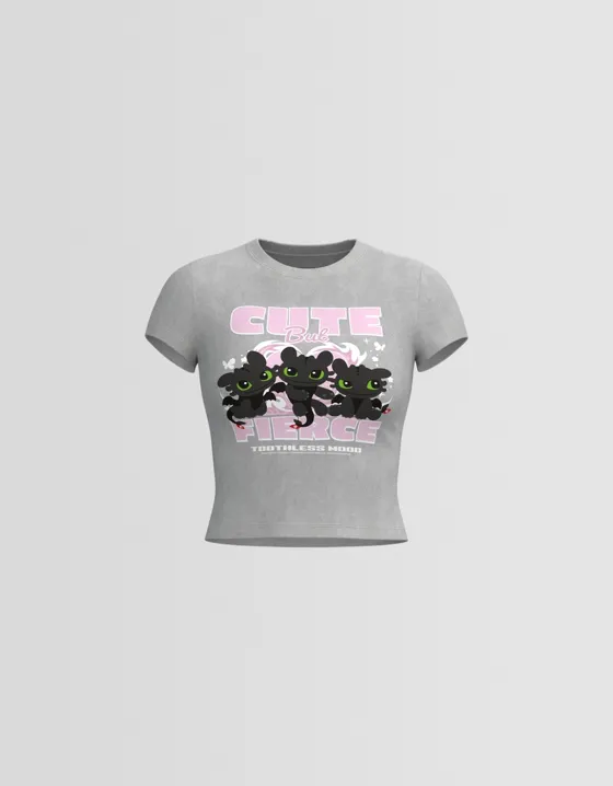 Футболка How to Train Your Dragon