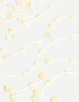 Ожерелье из ракушек- Заказать в России